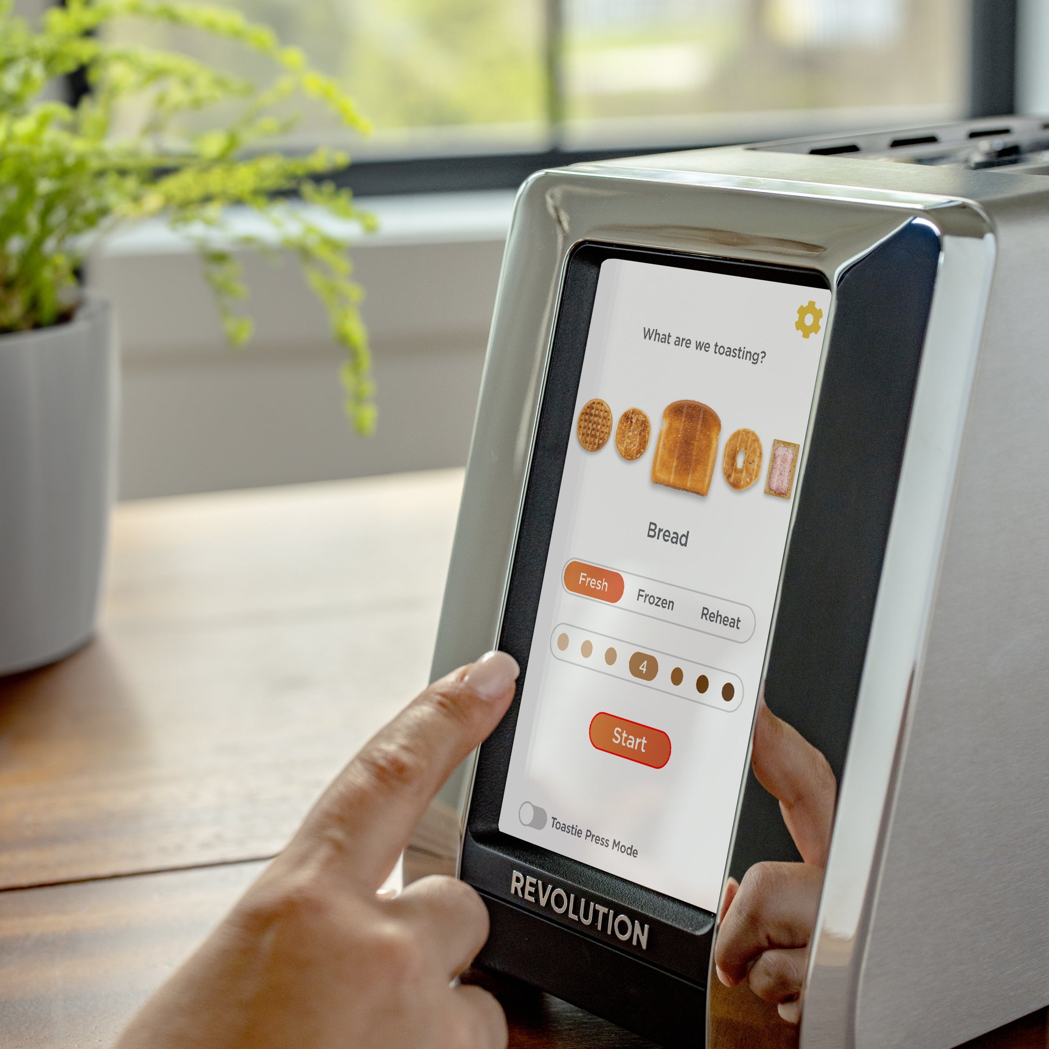 Stainless Steel / Chrome